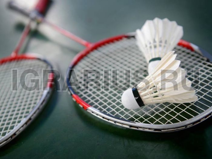 Спортивный инвентарь