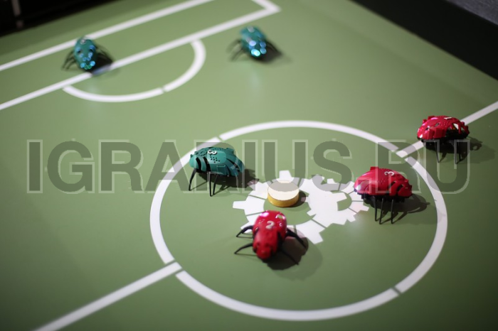 Робофутбол с жуками