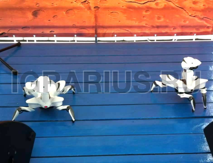 Космороботы