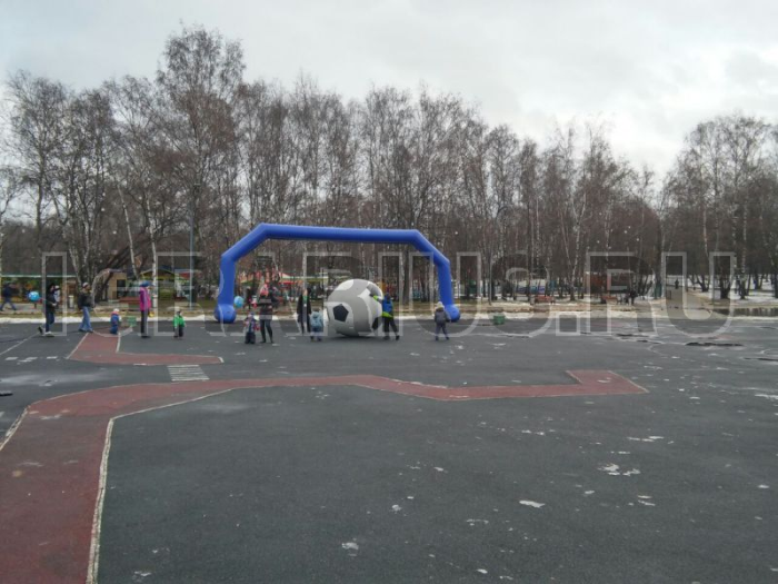 Футбол гигантский