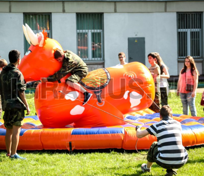 Родео «Командный бык»