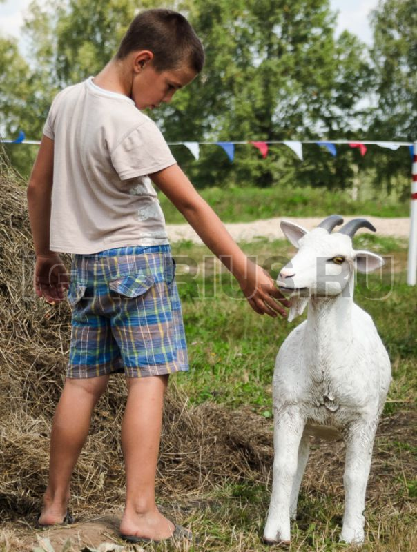 Дойная коза