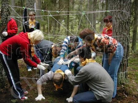Паутина вертикальная