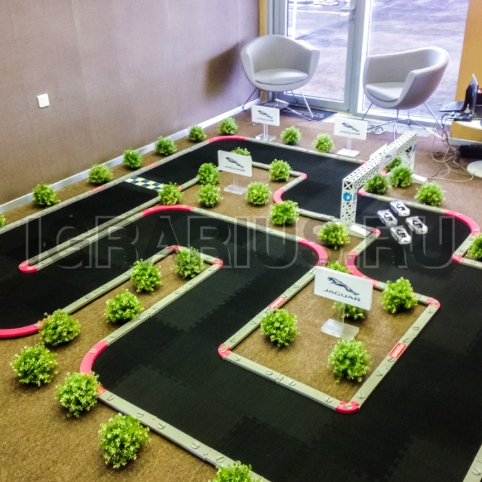 Трасса с радиоуправляемыми машинами серии Mini-Z (Вариант ЛАЙТ)