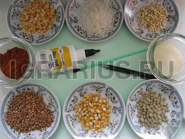 Картины из крупы и семян в рамке