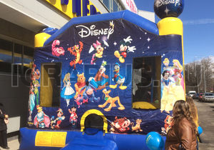 Дисней (манеж)