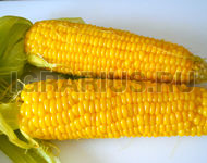 Вареная кукуруза