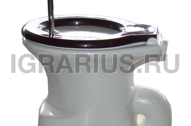 Гонки на унитазах