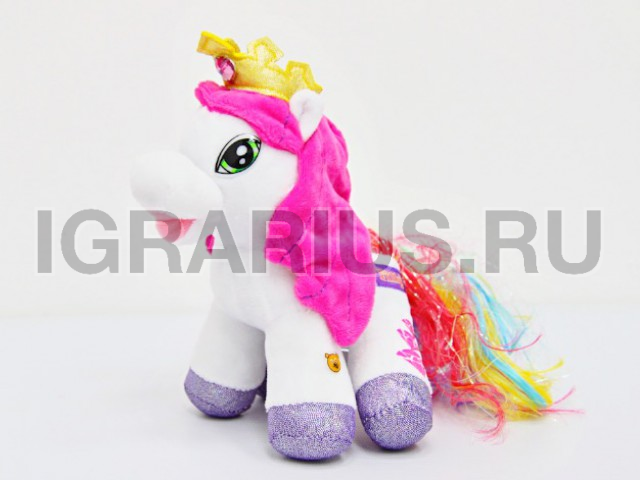 ПОНИ РАДУГА мал