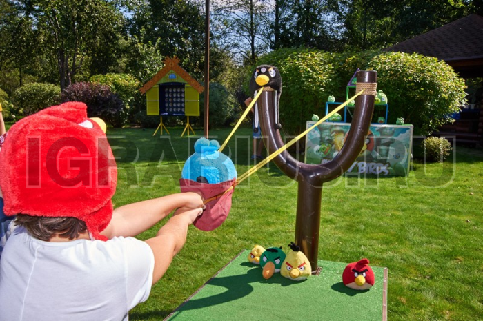 Тир 'Angry Birds' (XL)