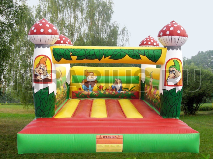 Батут Гномики