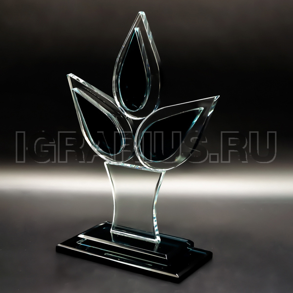Награда из стекла Эксклюзивная награда из стекла