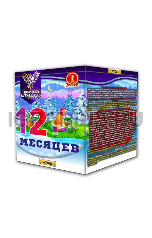 Батарея 12 месяцев