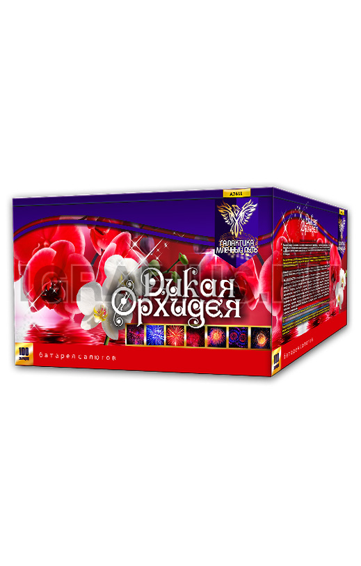 Батарея Дикая орхидея