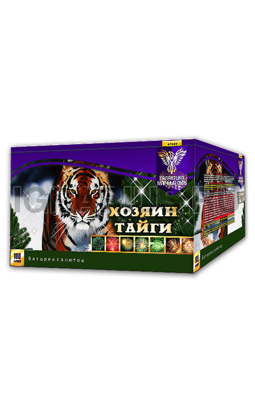 Батарея Хозяин Тайги