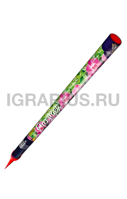 Римская свеча Орхидея