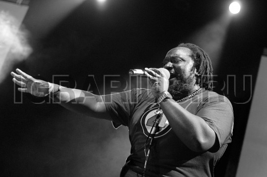 Steve Edwards (Стив Эдвардс)