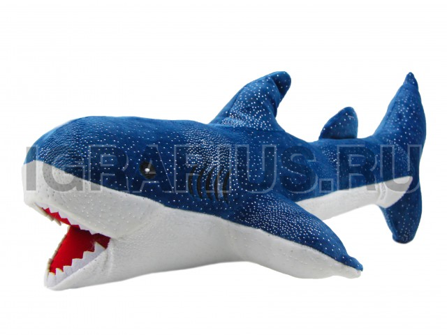 АКУЛА  СИНЯЯ