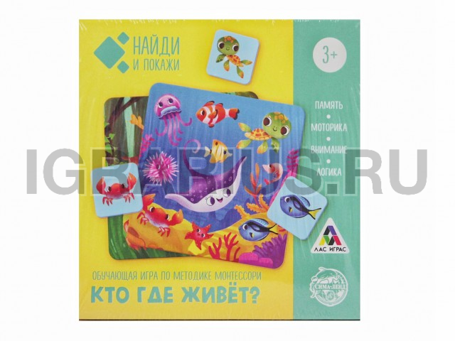 ИГРА КТО ГДЕ ЖИВЕТ 