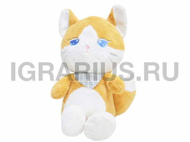 КОТ С ПЛАТКОМ