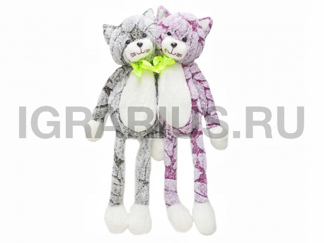 КОТ С ЯРКИМ БАНТОМ