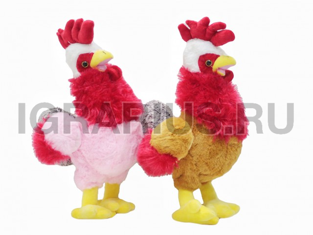 ПЕТУШОК ЯРКИЙ