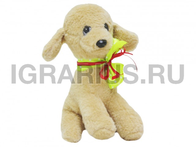 СОБАЧКА С БАНТОМ