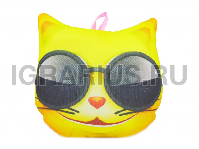 КОТ В ОЧКАХ