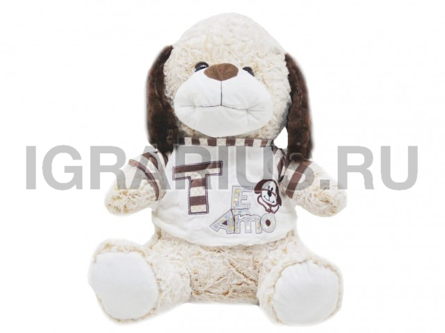 СОБАЧКА В КОФТОЧКЕ