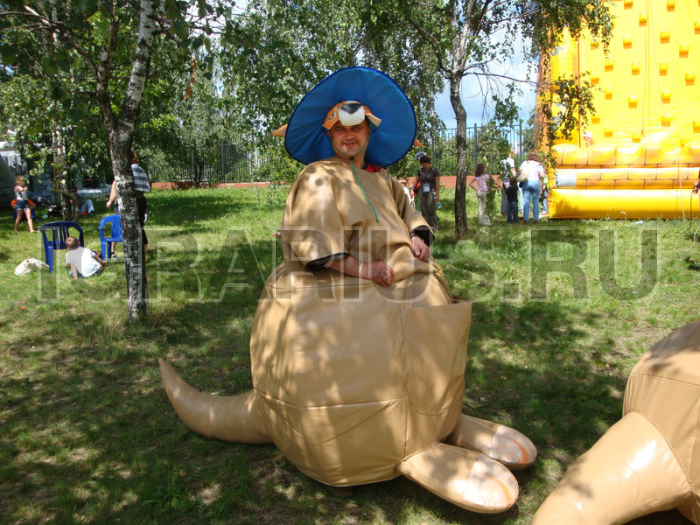 Спортивный Бокс кенгуру