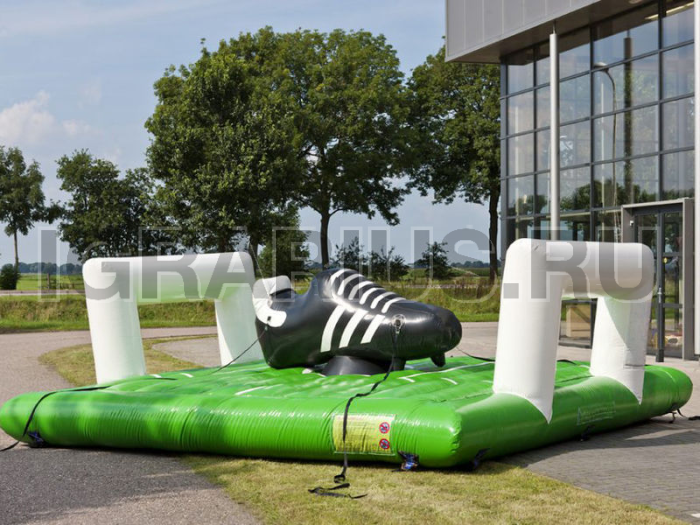 Командное родео БУТСА