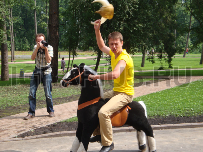 Поницикл (большой)