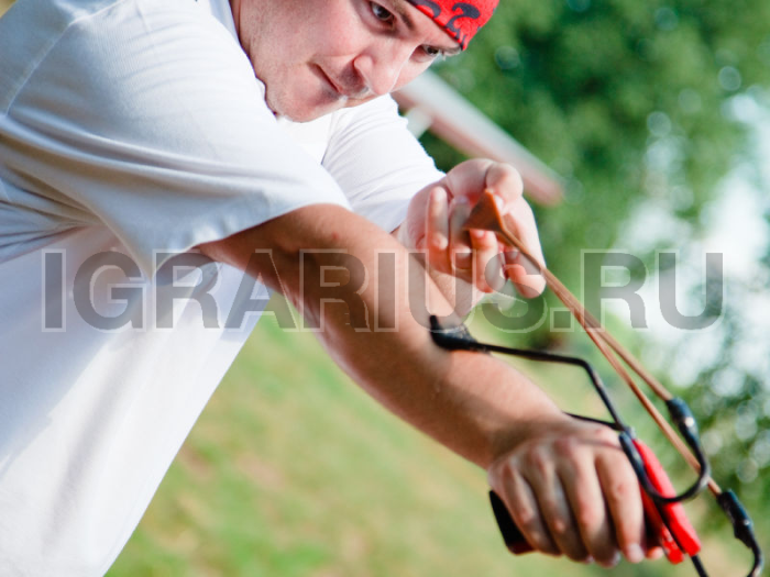 Тир Рогатки