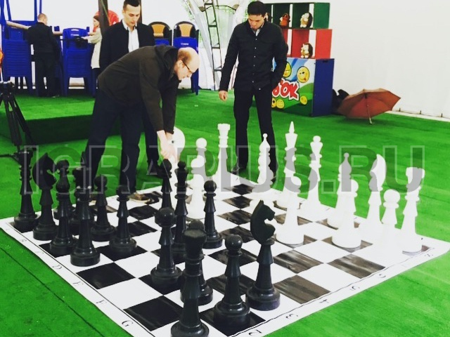 Гигантские шахматы (фигуры малые)