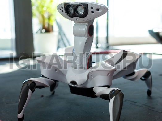 Радиоуправляемые роботы