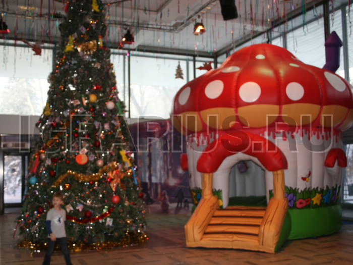 Батут ' Яркий Грибок'