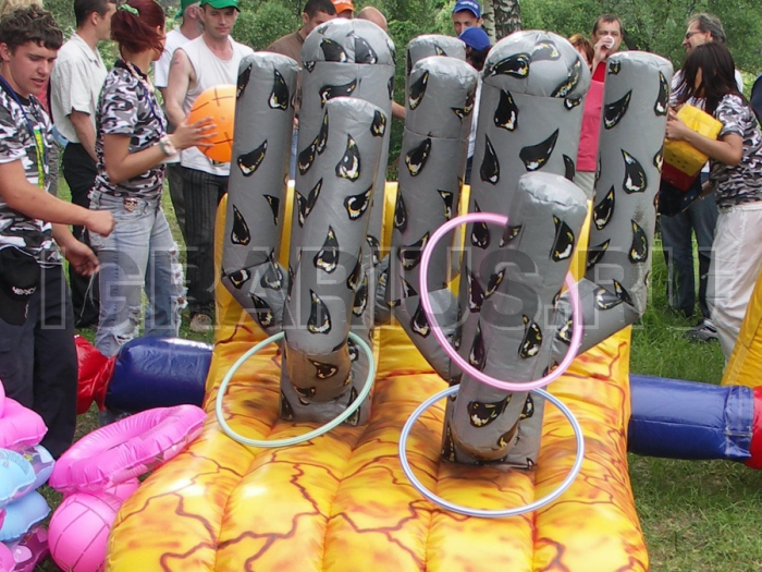 Тир Кактусовая роща