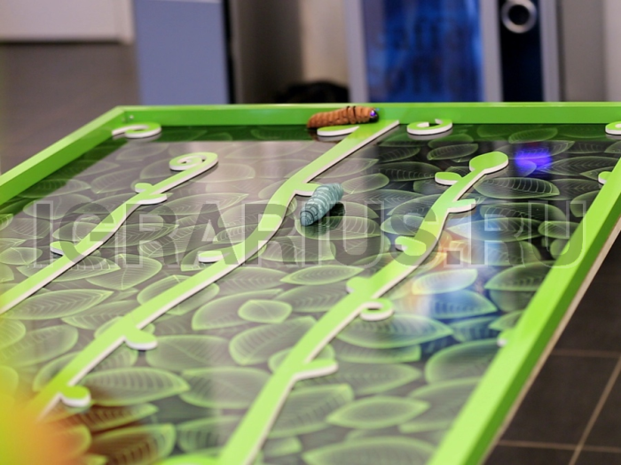 Гусеничные бега