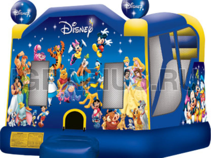 Дисней (комбо с горкой)