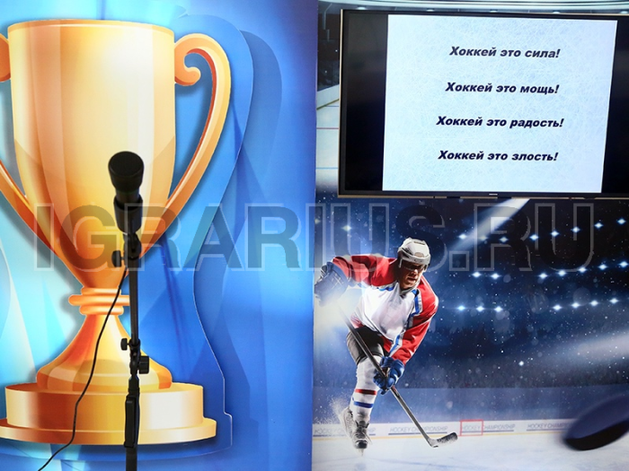 Фан зона Хоккейный шумомер