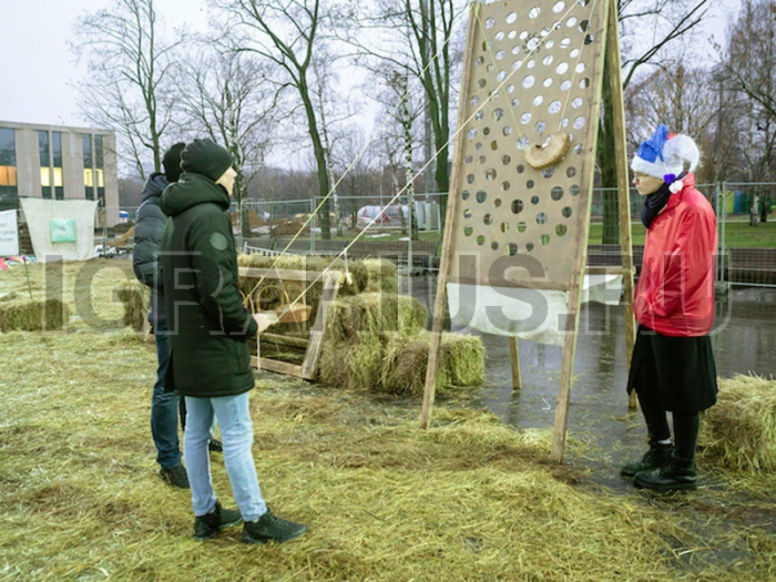 Тир Гороховое поле