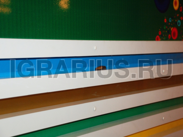 Казино Тараканьи бега