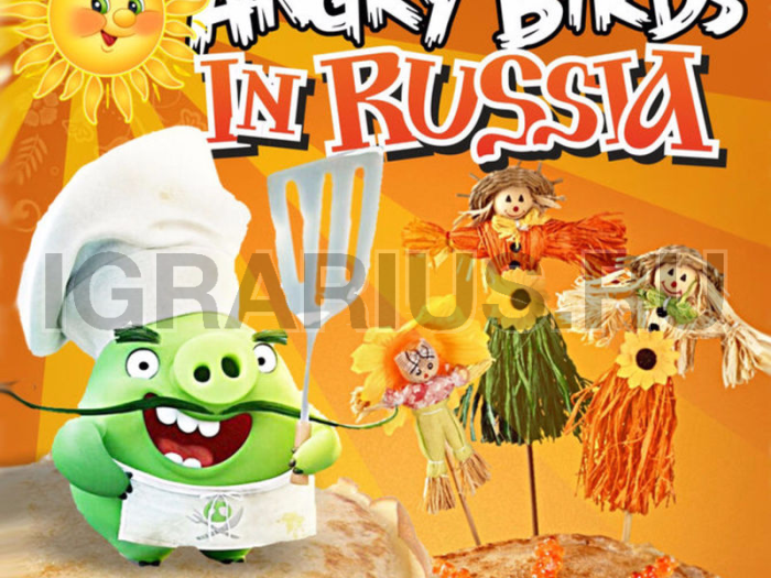 Тир 'Масленичный Энгри бердз'