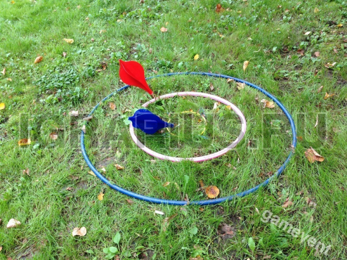 Садовый дартс