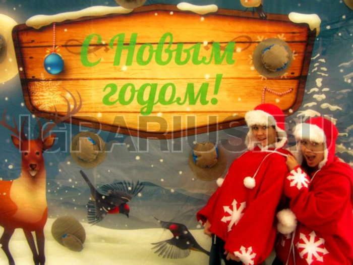 Тир 'Снежки'