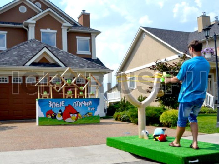 Тир 'Angry Birds Миди'