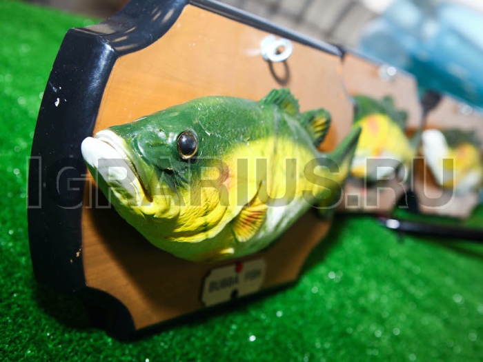 Большая рыбалка