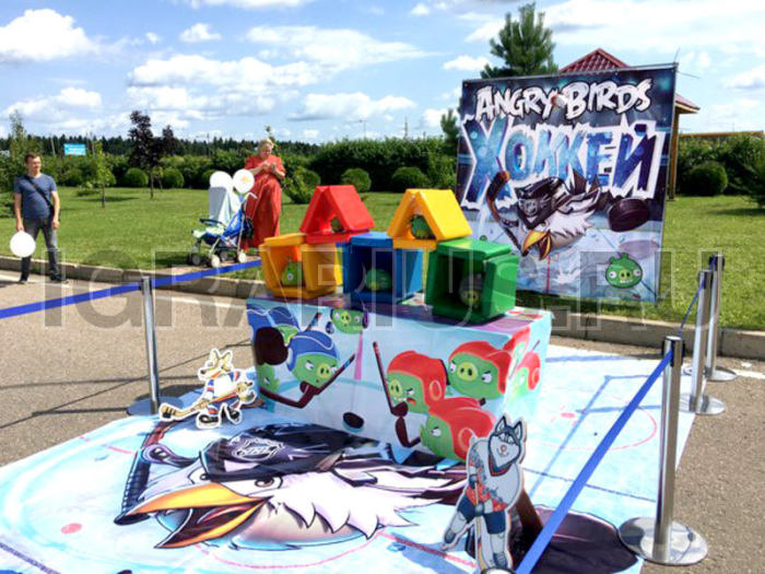 Тир Энгри бердз Хоккей